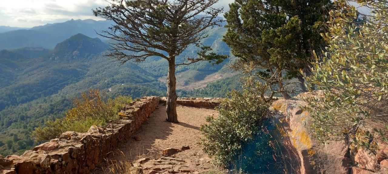 La Casita De Jimena Villa Riudecanyes Kültér fotó