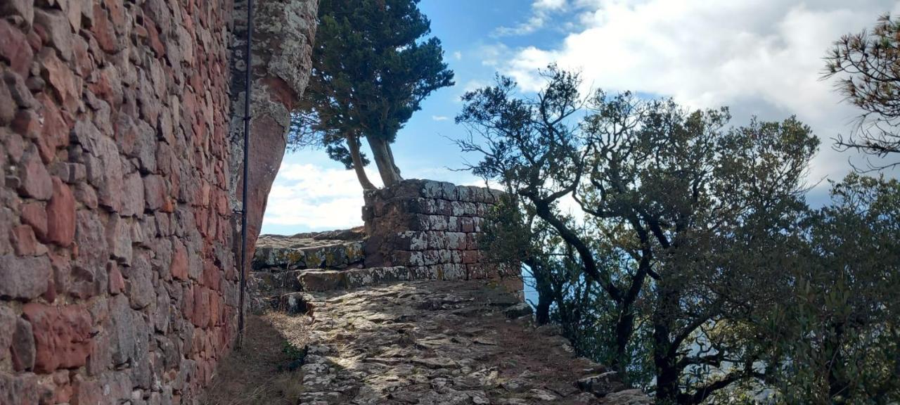 La Casita De Jimena Villa Riudecanyes Kültér fotó