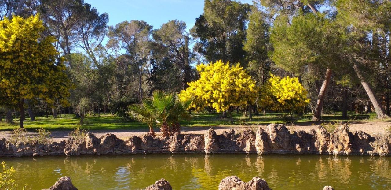 La Casita De Jimena Villa Riudecanyes Kültér fotó